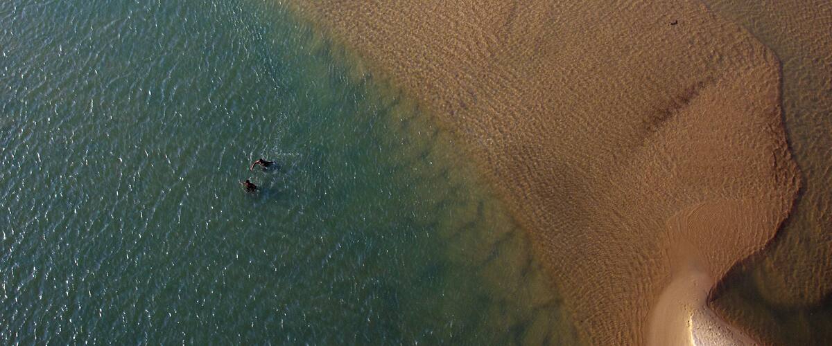 A beach with clear water and a sandy shore.