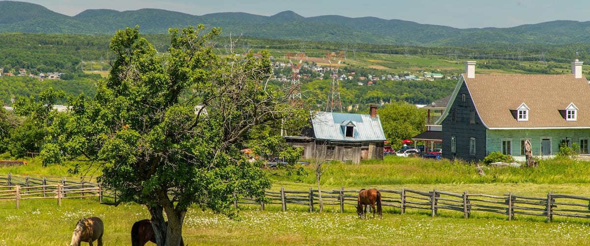 Ile d\'Orleans featuring land animals and farmland
