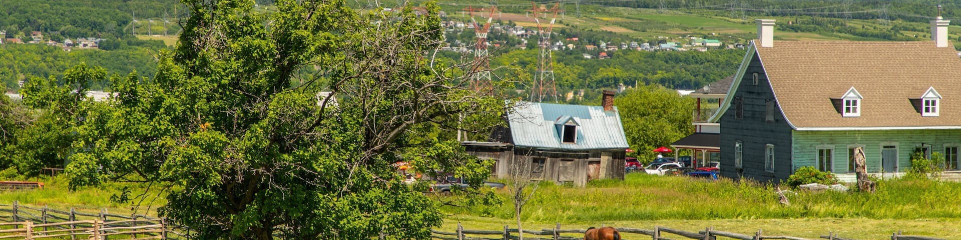 Ile d\'Orleans featuring land animals and farmland