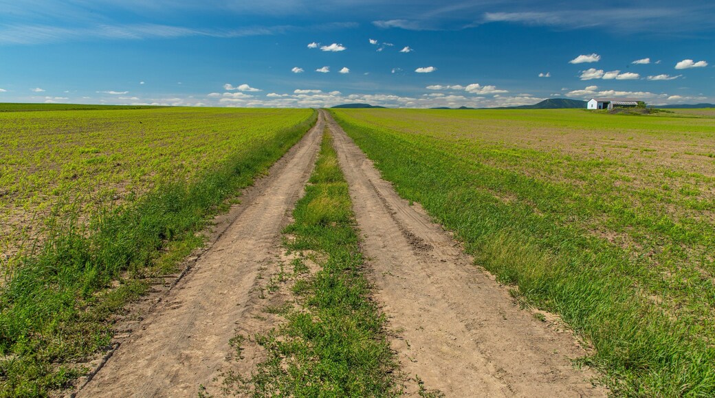Ile d\'Orleans showing farmland