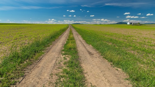 Ile d\'Orleans showing farmland