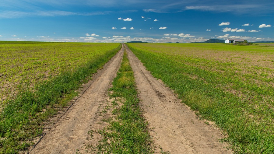Ile d\'Orleans showing farmland