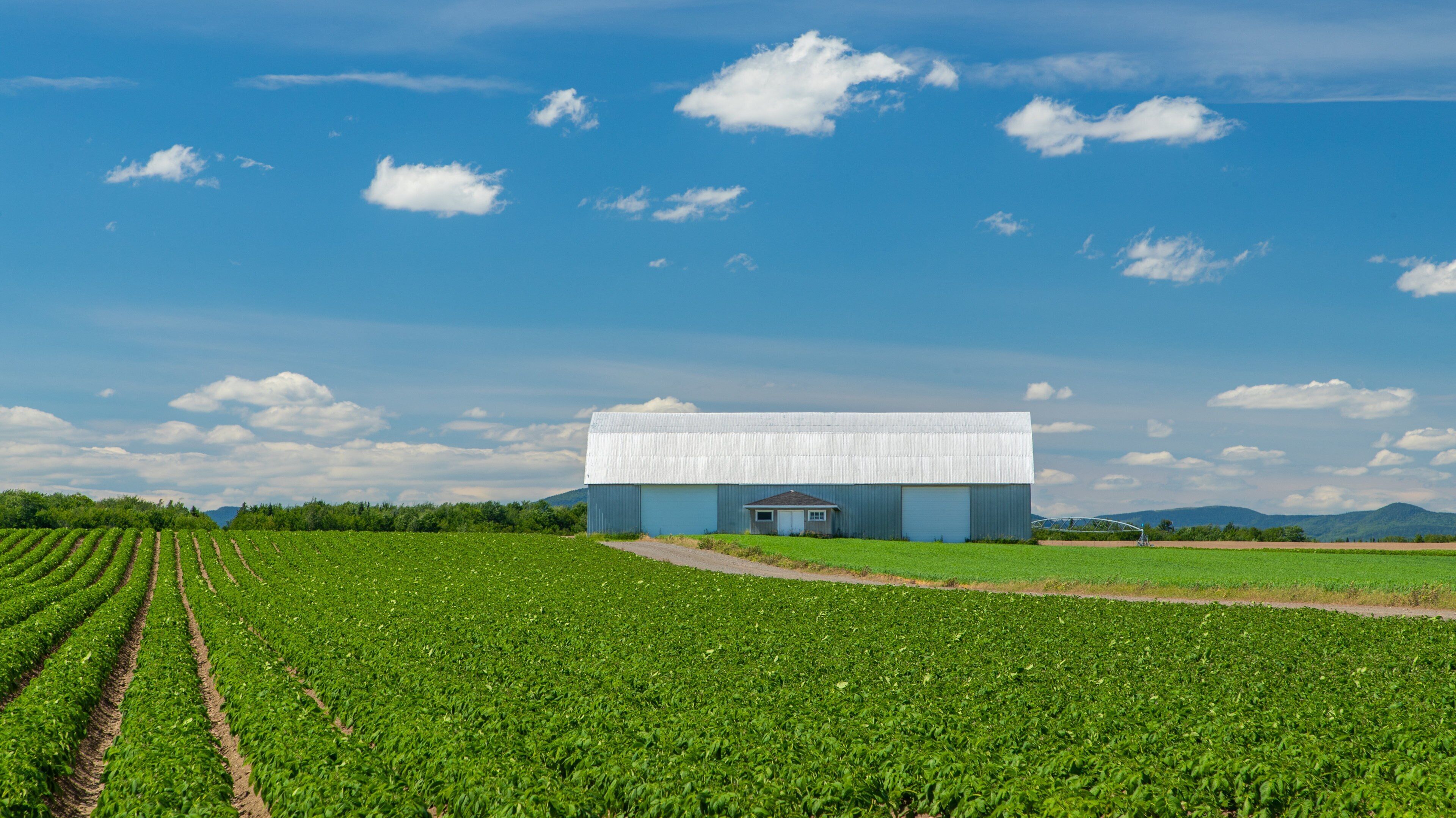 Île d\'Orléans which includes farmland