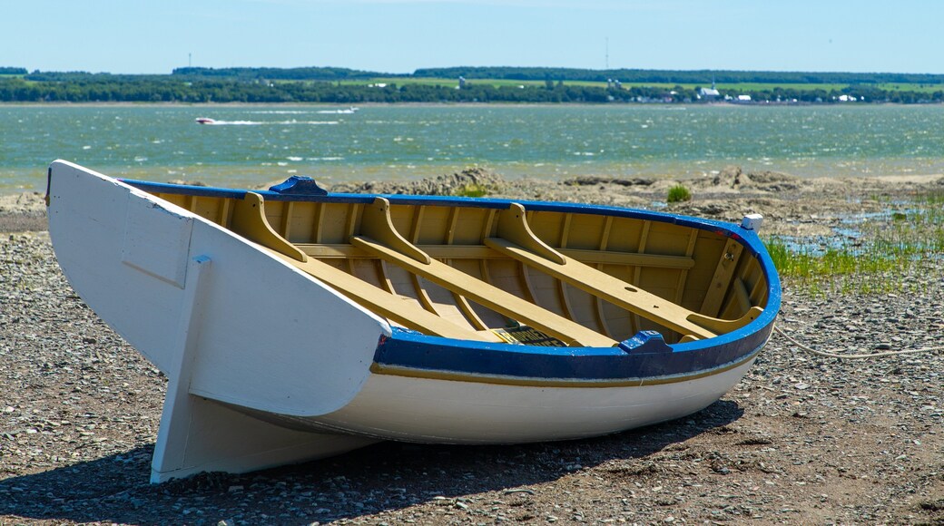 Ile d\'Orleans showing general coastal views and a pebble beach