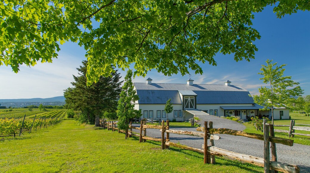 Ile d\'Orleans which includes farmland