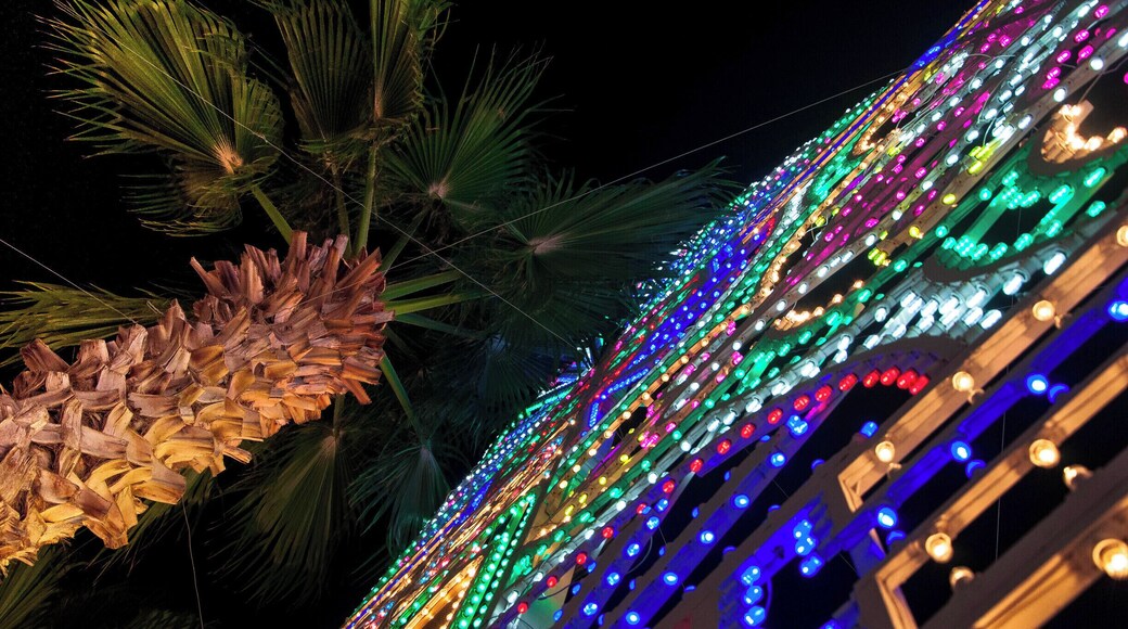 The curch and "luminarie" (luminary) in Ortelle. Saint George and Saint Fortunato festival.
