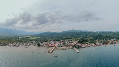 Aerial view of a traditional fishing village in the midst of mountains, Southern Leyte, Philippines