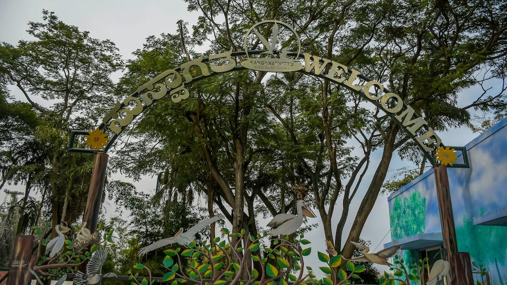 Un panneau indiquant « Bienvenue au sanctuaire ornithologique de FANGANA NITTI », entouré d’arbres et de sculptures d’oiseaux.