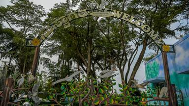 Ranganathittu Bird Sanctuary in the Mandya District of Karnataka along Kaveri river