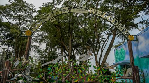 Ranganathittu Bird Sanctuary in the Mandya District of Karnataka along Kaveri river