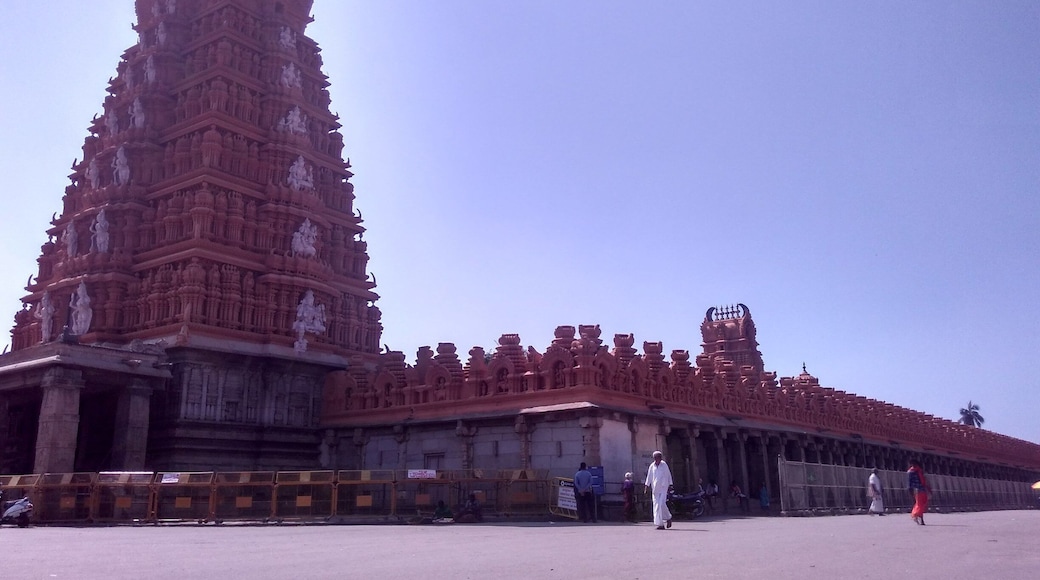 #srikanteshwaratemple #
35kms from Mysore
pilgrimage devotion
History
architecture