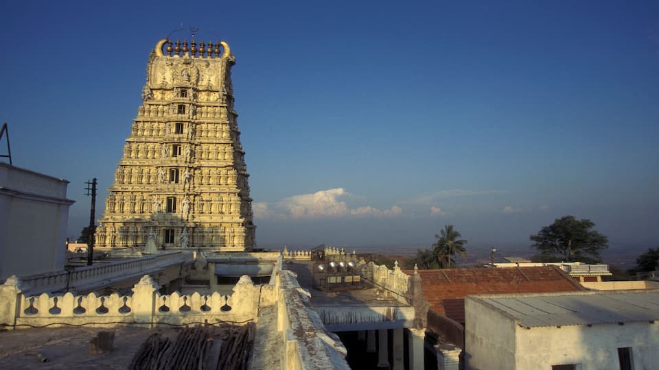A large, ornate temple with intricate carvings and a tall spire, surrounded by residential buildings and palm trees.