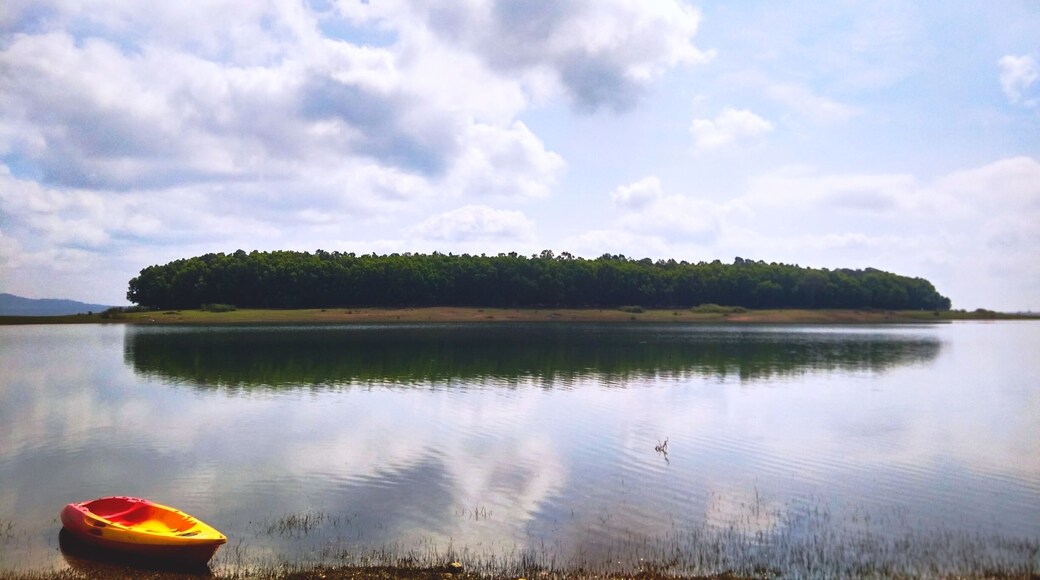 This beautiful Island, is on a back water at sidapura village, in front of The Rappa, a beautiful nature camp in Hassan district, Karnataka. Using the kayak of the camp we can reach the island. Or if the water resides, can walk to the island..
#nature #travel #landscape #island #Karnataka #India