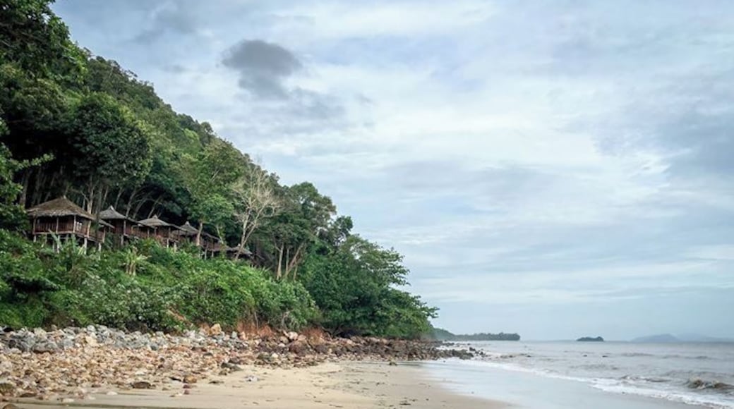 Forest bungalows near the beach.