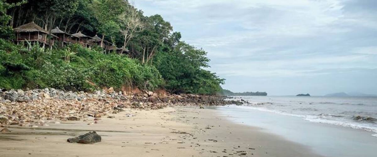 Forest bungalows near the beach.