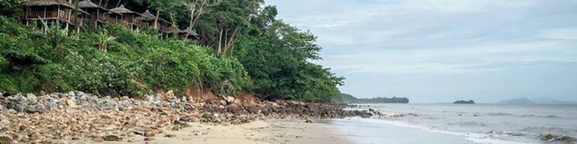 Forest bungalows near the beach.