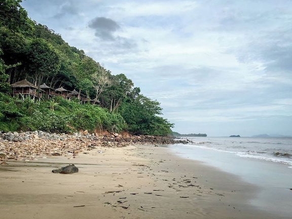 Forest bungalows near the beach.
