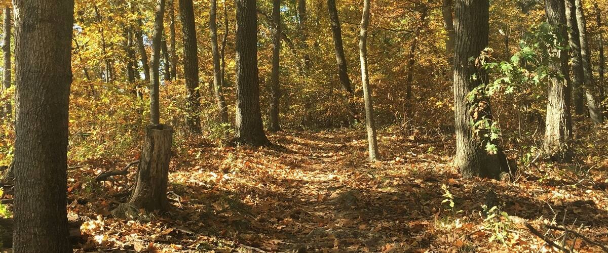 My favorite local trail! Lewis and Clark. And on the perfect fall day, it's even better. 🍁🍂