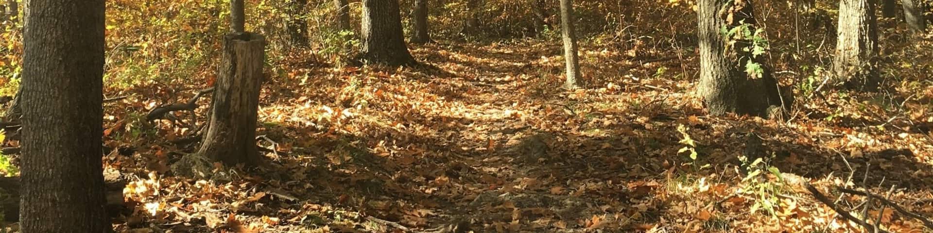 My favorite local trail! Lewis and Clark. And on the perfect fall day, it's even better. 🍁🍂
