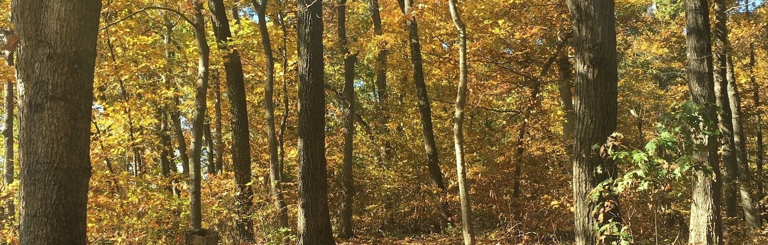 My favorite local trail! Lewis and Clark. And on the perfect fall day, it's even better. 🍁🍂