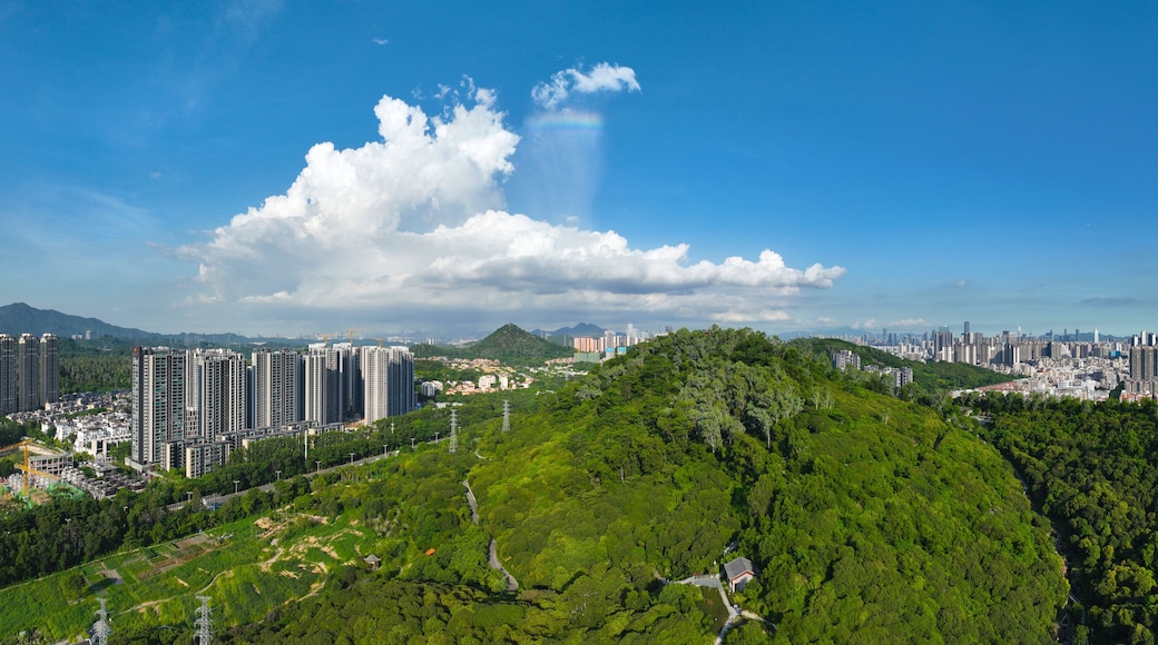 Aerial photography of Qilongshan Football Park in Bao'an District, Shenzhen