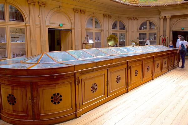 Une grande armoire en bois richement décorée, dotée de vitrines, dans un musée.