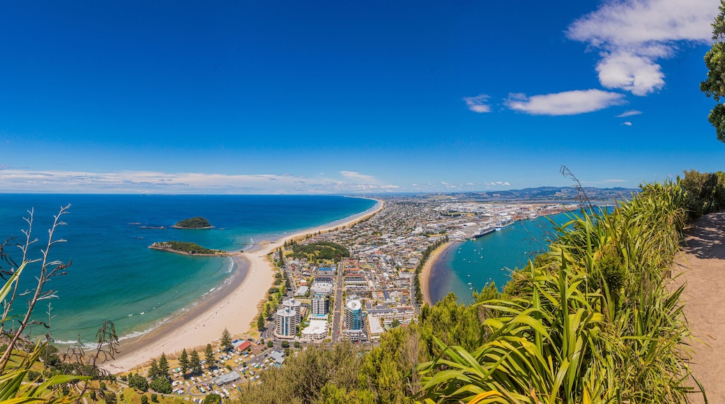 Panoramic picture of Tauranga city with Papamoa Beach from Mount Mainganui on northern island of New Zealand in summer