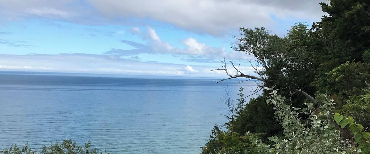 A coastal landscape with a view of the sea, dense greenery, and a clear sky.