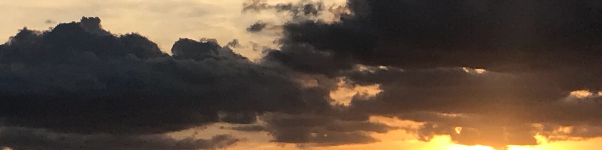 Lazy Lizard Sailing is the go to sailing company in Playa Flamingo for all of you sunset, snorkeling, kayaking and relaxing needs. #costarica #sailing #oceanlife #travel