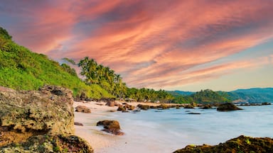 Long exposure. Beautiful and relaxing beach flanked by green palm trees at sunset. Varkala, Kerala, India.