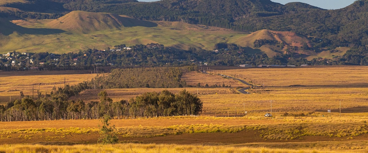 Waimea showing farmland and tranquil scenes