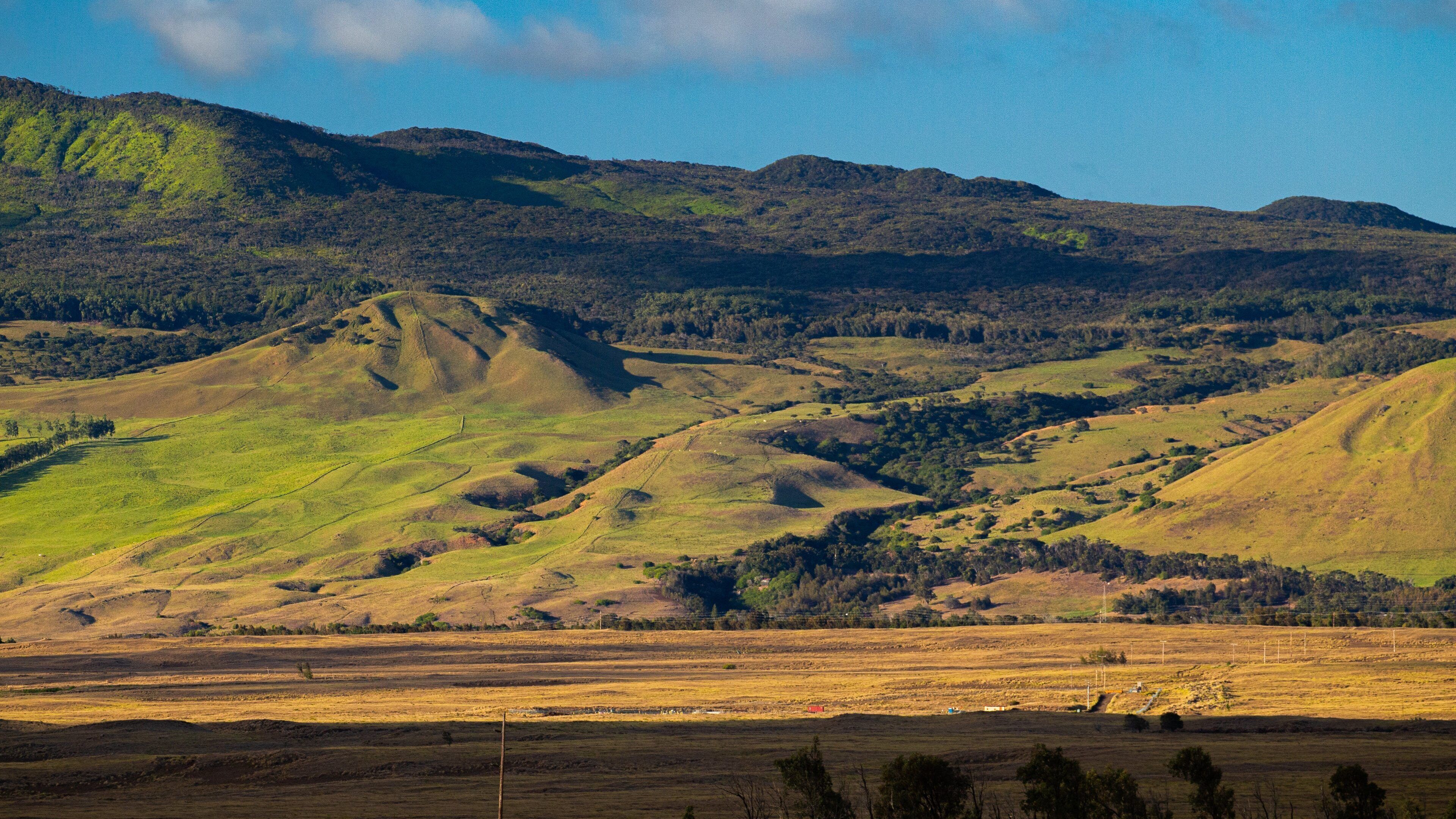 Kamuela which includes tranquil scenes and landscape views