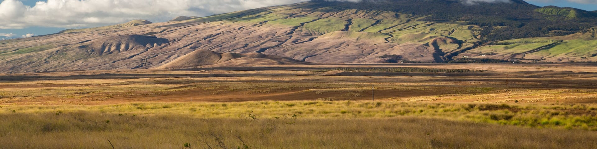 Kamuela featuring tranquil scenes, mountains and landscape views