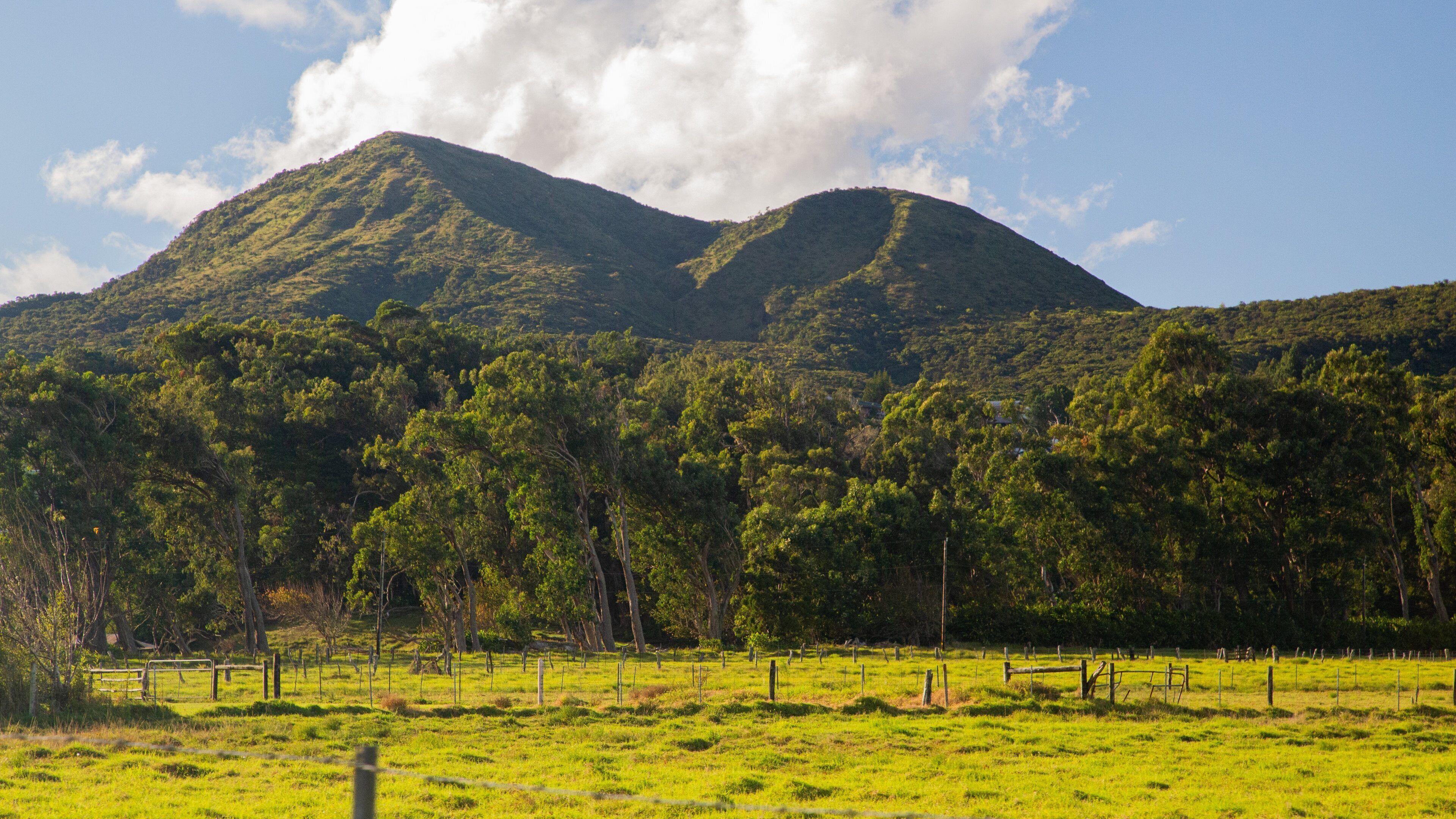 Kamuela showing mountains and tranquil scenes