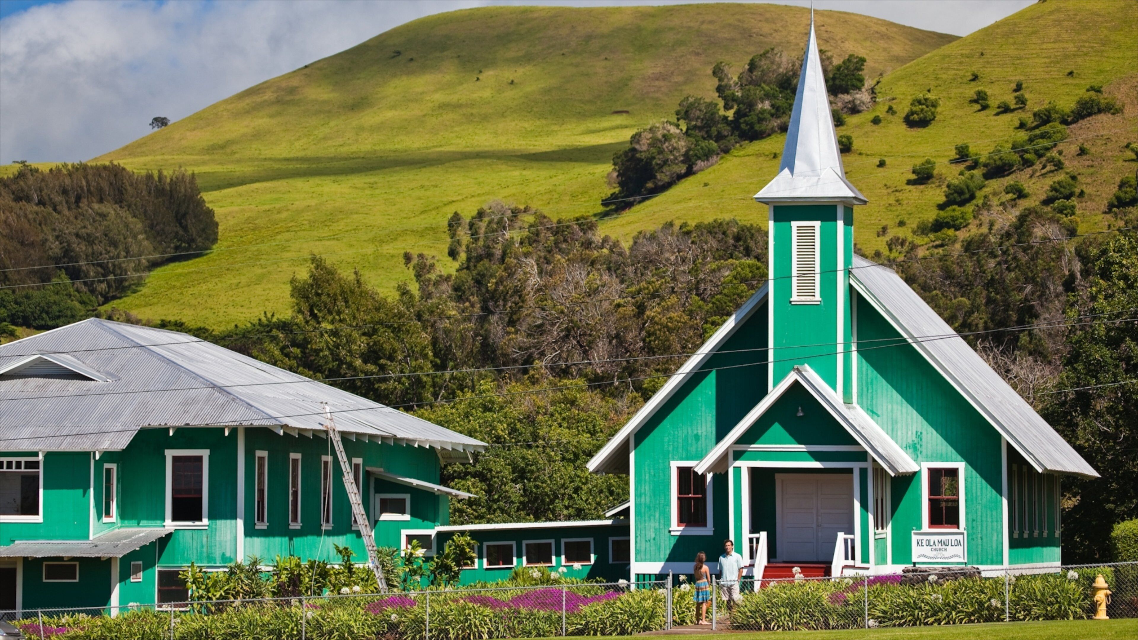 Hawaii das einen ruhige Szenerie, Haus und Kleinstadt oder Dorf