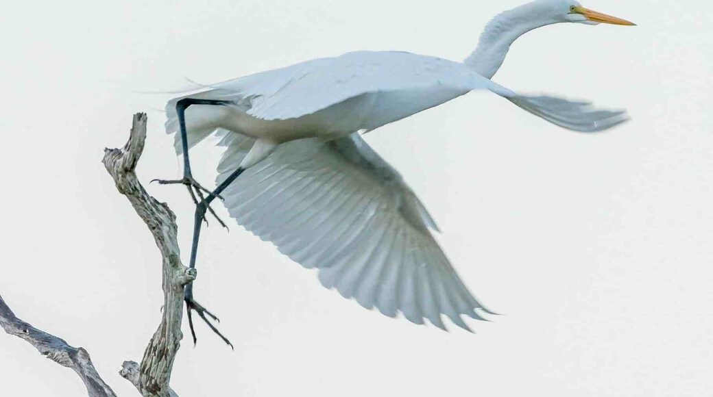 I got there just in time for takeoff. You never know what you will see here.