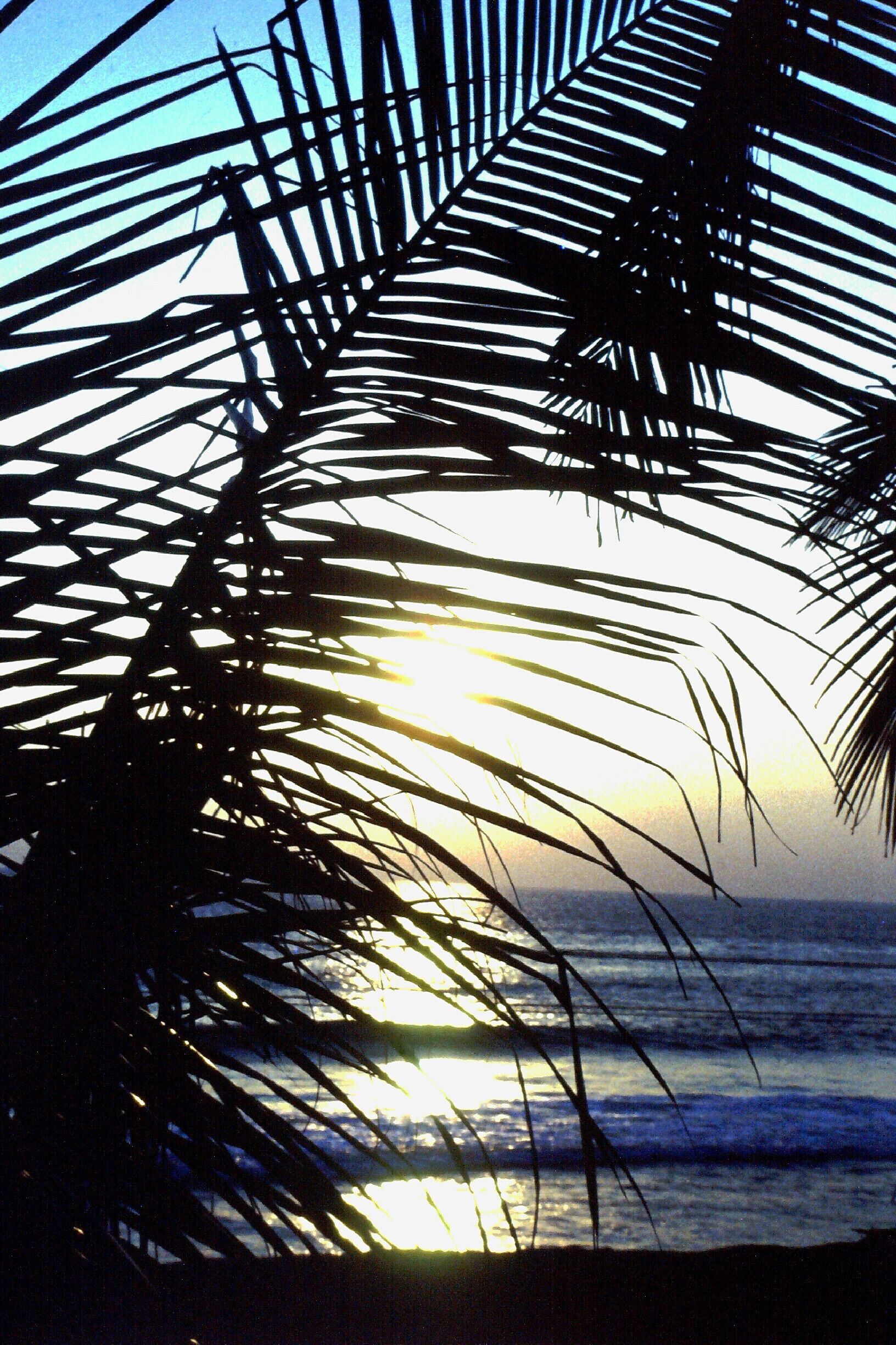 Just a lovely afternoon on the beach in Goa. Chill-time