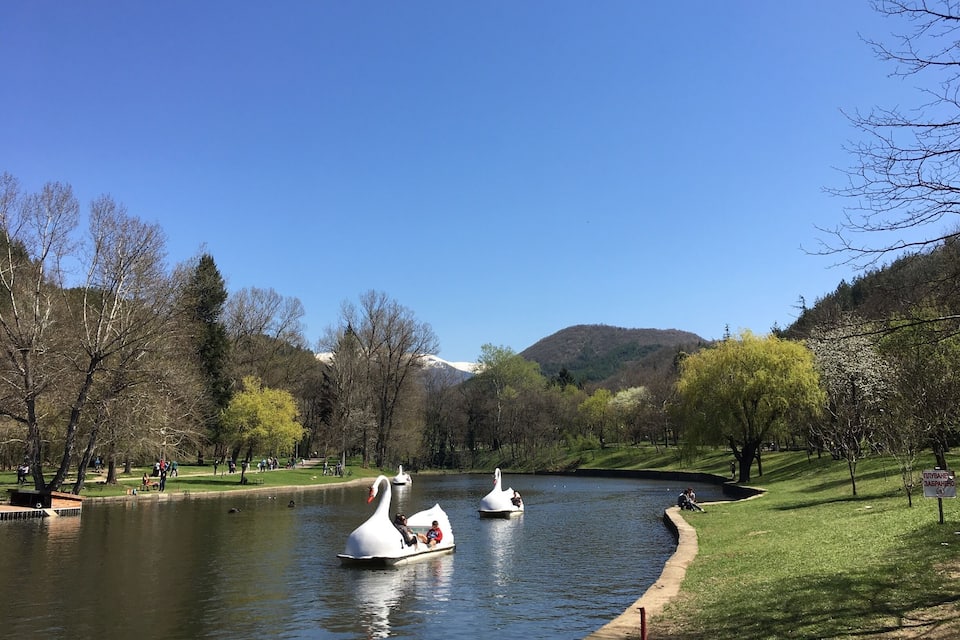 A lake with swan-shaped boats, a grassy park, and a mountain in the background.