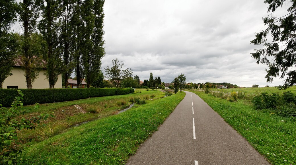 This file was uploaded with Commonist. La liaison cyclable FrancoVéloSuisse à Moval.