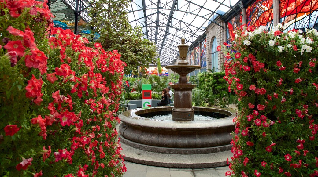 El Cosmovitral mostrando flores, jardín y una fuente