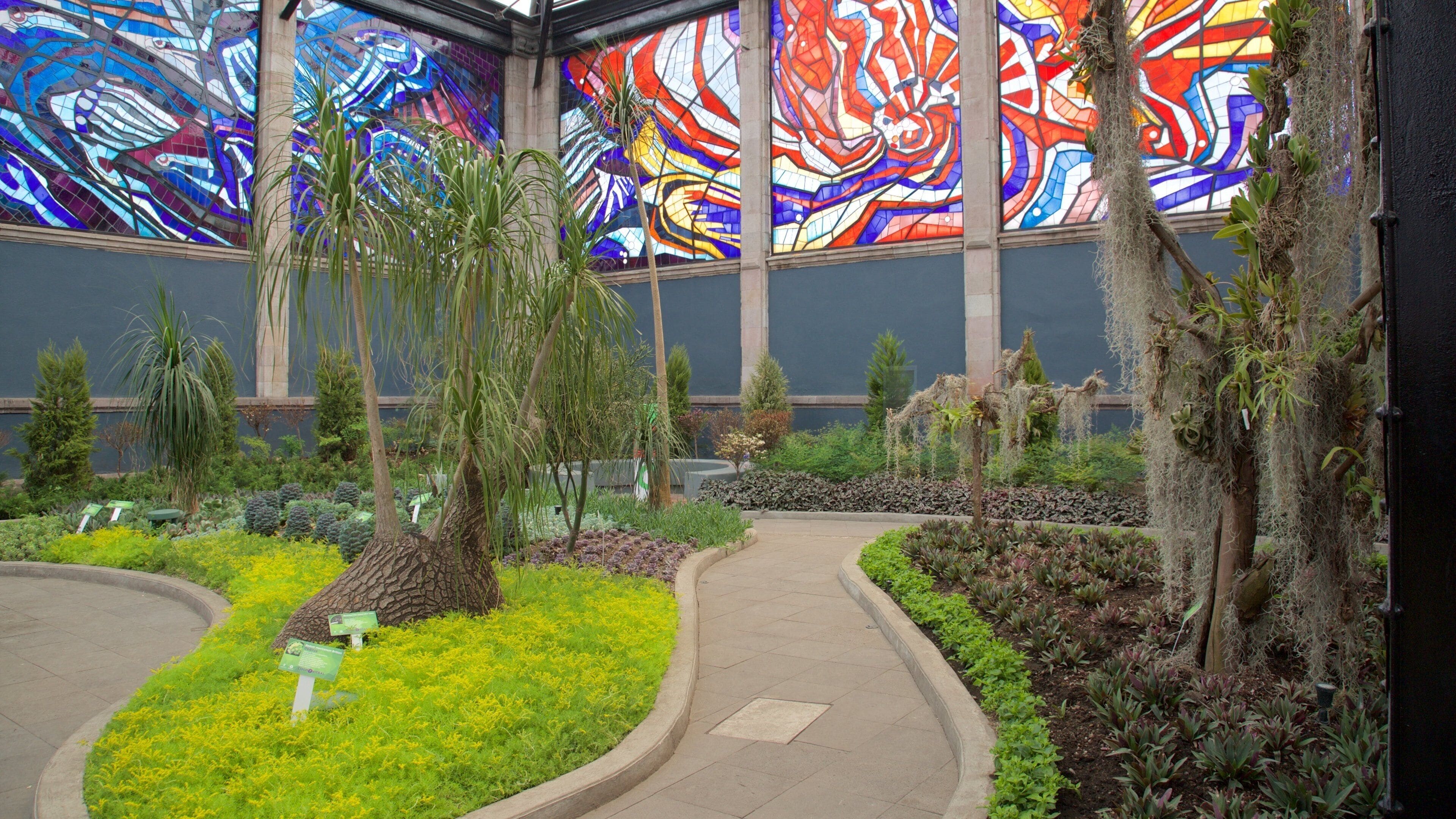 A garden with a colorful stained glass ceiling, a winding path, and various plants.