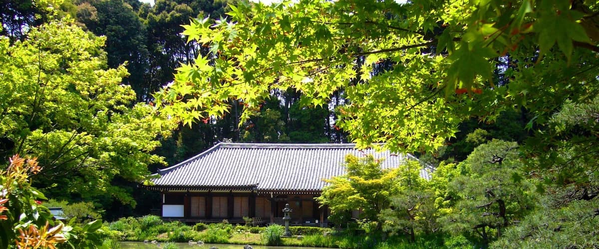 Joruri-ji, Hondo (Main Hall) -1 (May 2009)
