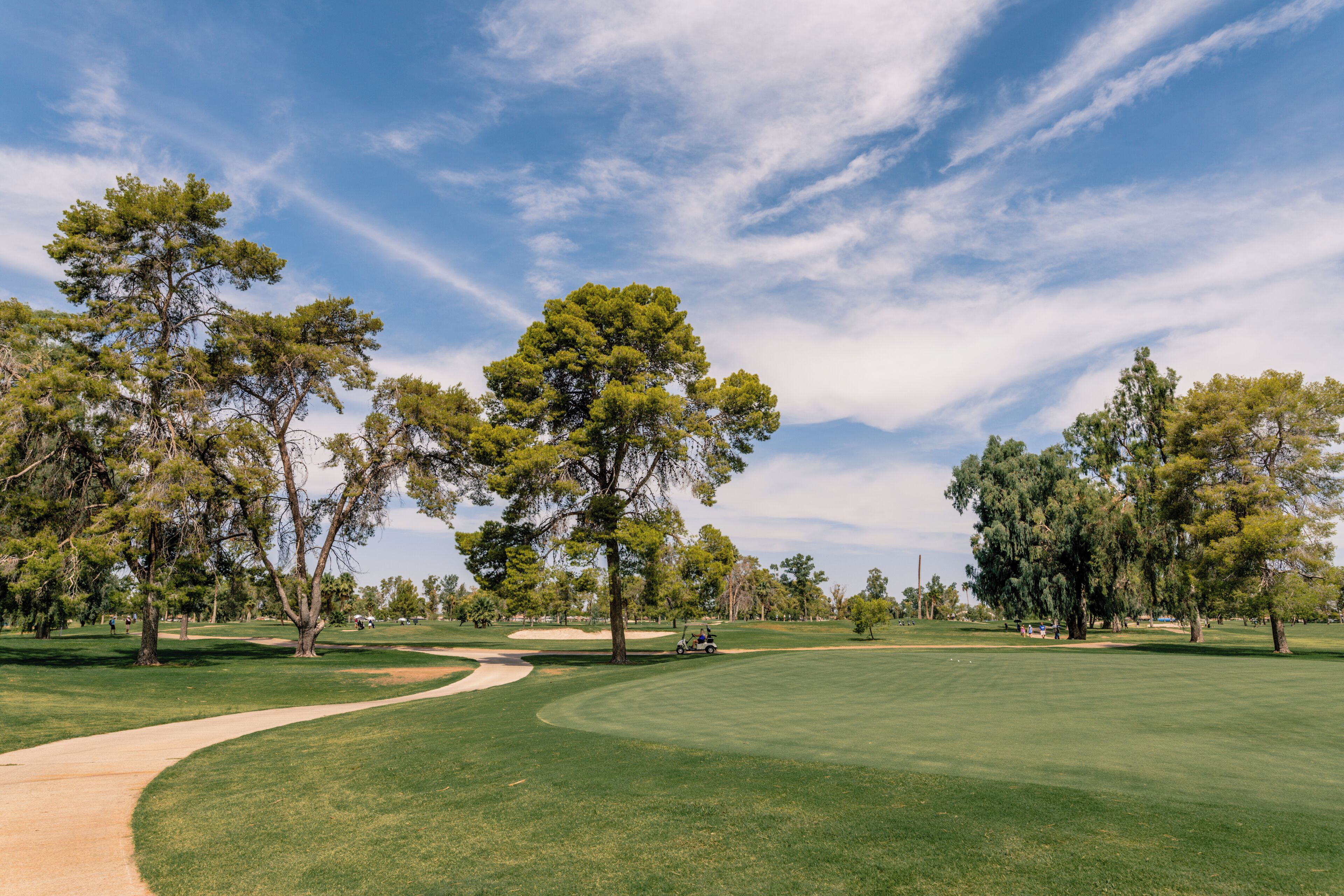 EyeEm Custom Shoots Q4 2018