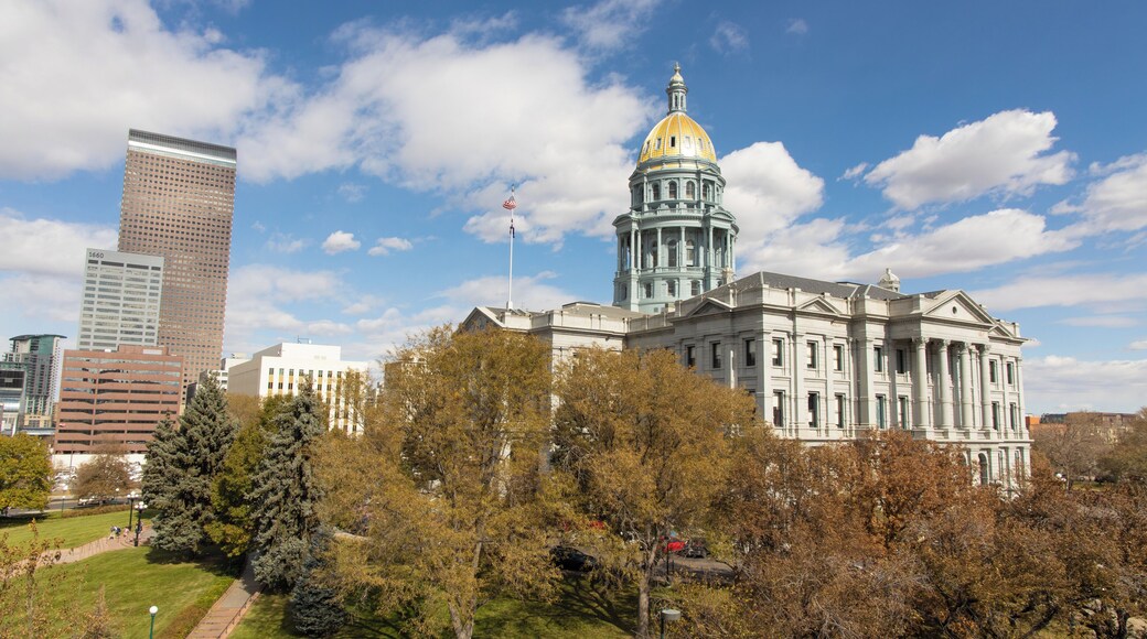 Denver_CapitolHill_6253459_0007