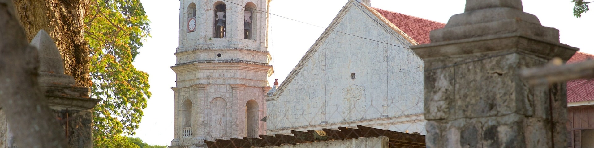 Igreja de Dalaguete mostrando arquitetura de patrimônio, uma igreja ou catedral e um jardim