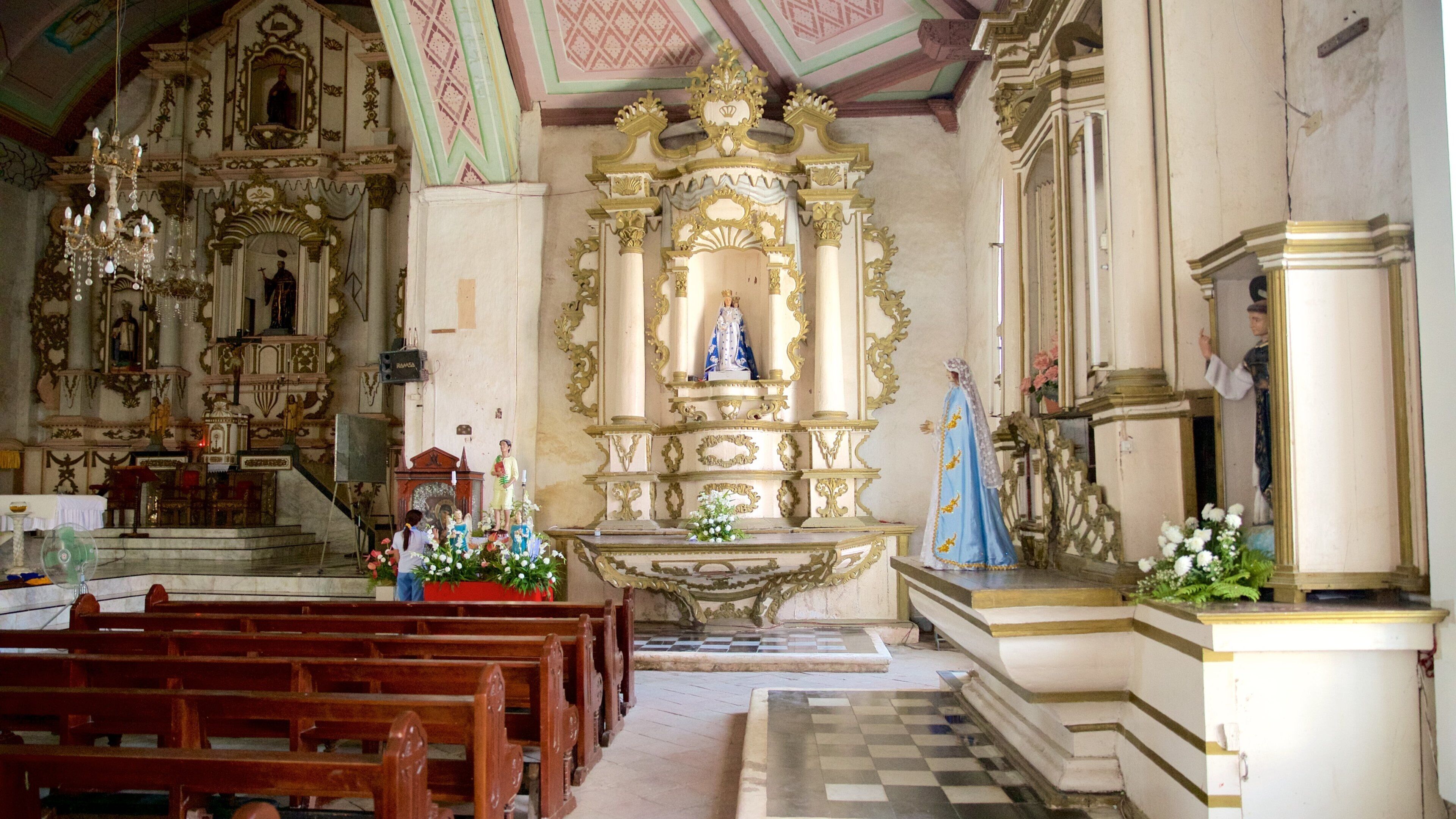Dalaguete Church which includes a church or cathedral, heritage architecture and interior views