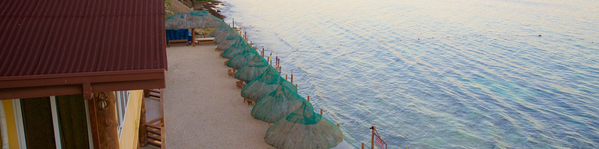 Dalaguete Beach which includes general coastal views