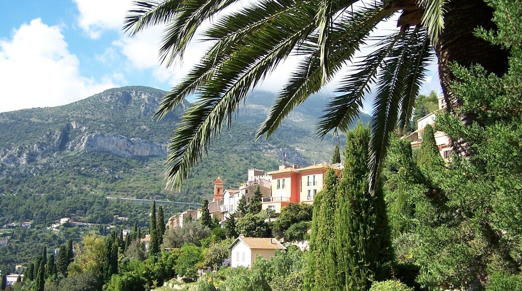 Roquebrune unter Palmen