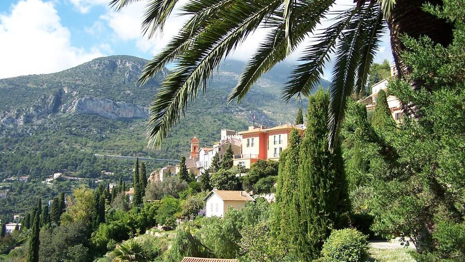Roquebrune unter Palmen