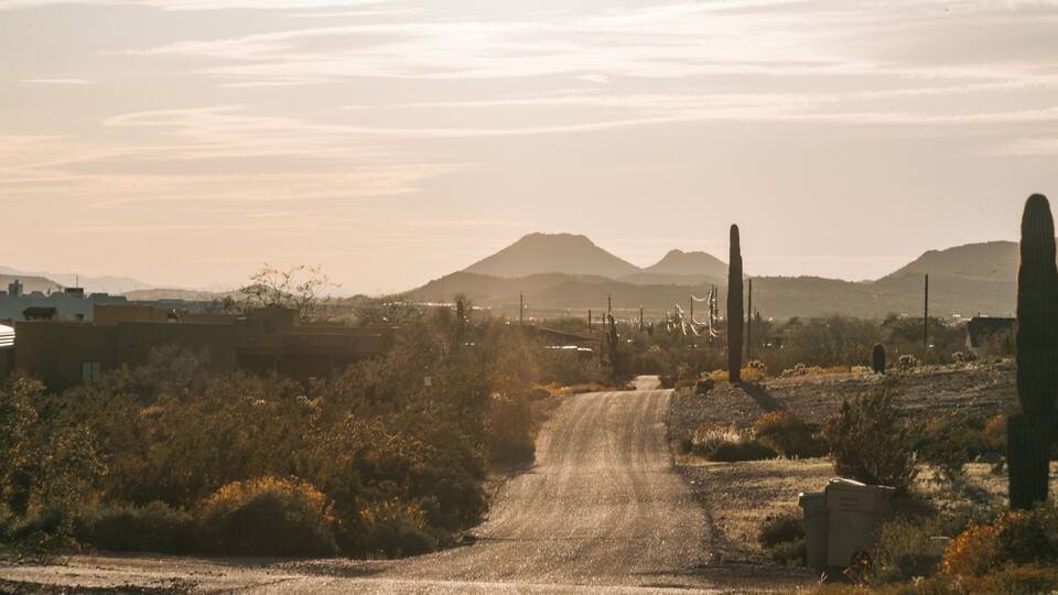 Paisaje desértico con un camino de tierra, cactus y montañas al fondo.